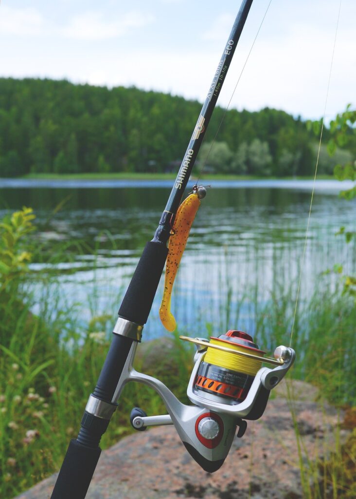 fishing, fishing gear, fishing rod-887523.jpg